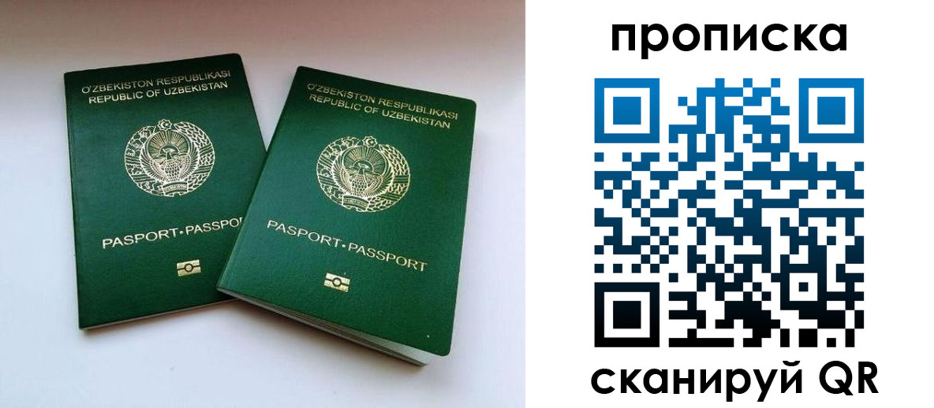 прописка поиск в Рассказово